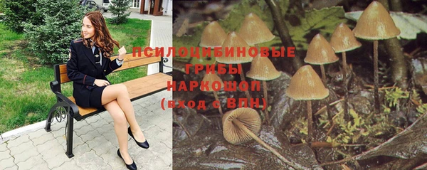 шишки Балабаново