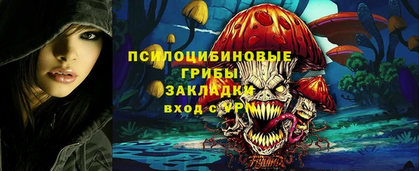 PSILOCYBIN Волосово