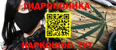 сатива Коммунар