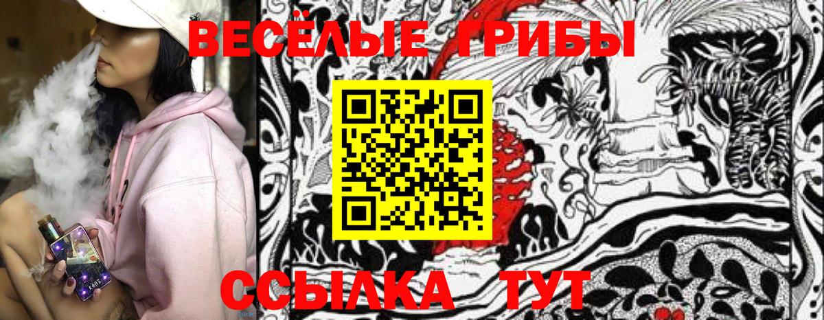 Галлюциногенные грибы Psilocybine cubensis  Балтийск 