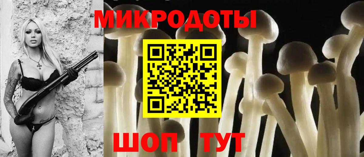 Псилоцибиновые грибы Cubensis Балтийск