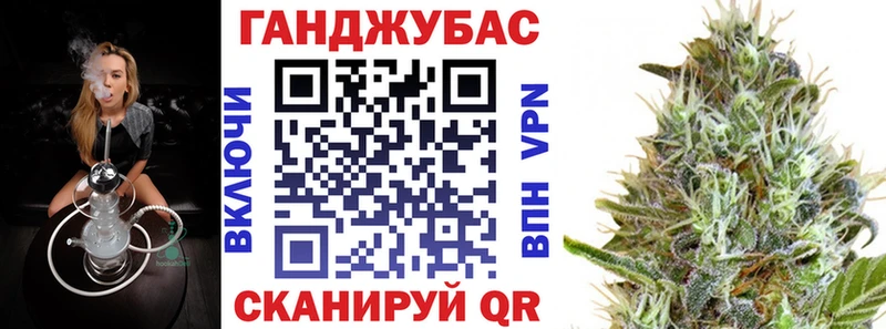 магазин продажи   Балтийск  Бошки марихуана SATIVA & INDICA 